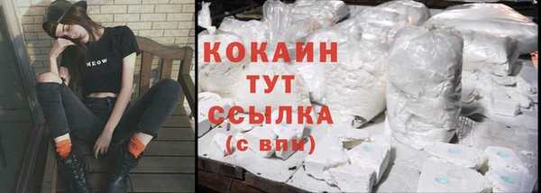 стаф Каменск-Шахтинский