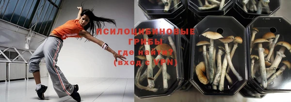 бутират Каменка