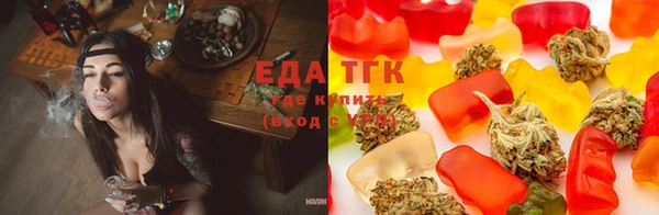стаф Каменск-Шахтинский