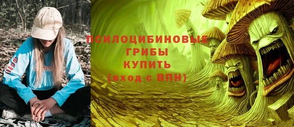 стаф Каменск-Шахтинский