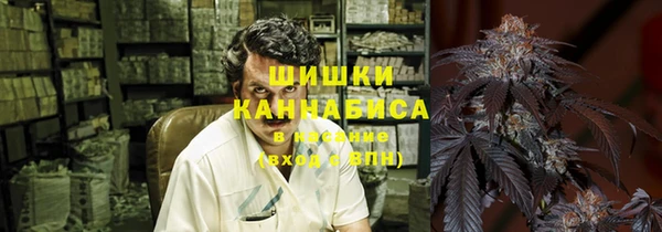 гидропоника Каменногорск