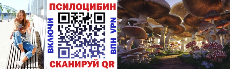 Галлюциногенные грибы Psilocybine cubensis  Купить где  Заводоуковск 